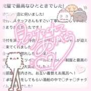 ヒメ日記 2025/02/03 09:10 投稿 ひなこ 萌えカワ