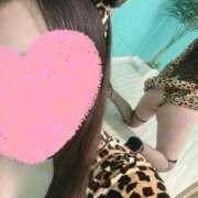 ヒメ日記 2025/04/13 21:03 投稿 あすか 密着アロマにゃんにゃんSPA