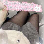 ヒメ日記 2025/02/22 11:52 投稿 せな 錦糸町ちゃんこ