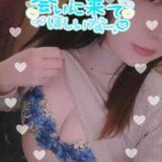 ヒメ日記 2025/12/29 17:32 投稿 せな 錦糸町ちゃんこ