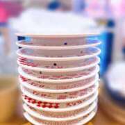 ヒメ日記 2025/02/14 10:30 投稿 うい 奥様はエンジェル　立川店