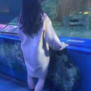 ヒメ日記 2025/02/17 16:45 投稿 うい 奥様はエンジェル　立川店