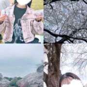 ヒメ日記 2025/04/09 06:15 投稿 うい 奥様はエンジェル　立川店