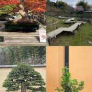 ヒメ日記 2025/04/11 13:15 投稿 うい 奥様はエンジェル　立川店