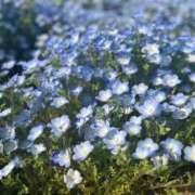 ヒメ日記 2025/05/03 15:45 投稿 うい 奥様はエンジェル　立川店