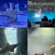 ヒメ日記 2025/08/01 02:30 投稿 うい 奥様はエンジェル　立川店