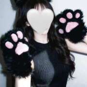 セイナ にゃー🐈‍⬛ バニーコレクション千葉栄町店