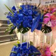 ヒメ日記 2025/03/07 07:08 投稿 白峰もえ★四国NO.1マット 俺のシンデレラ