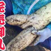 ヒメ日記 2025/03/22 10:30 投稿 白峰もえ★四国NO.1マット 俺のシンデレラ