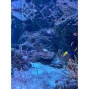 ヒメ日記 2025/03/21 20:55 投稿 そら★高リピ◎女子アナ系美女★ Bell～S級美女お姉様・人妻デリヘル～