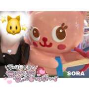 ヒメ日記 2025/03/22 20:51 投稿 そら★高リピ◎女子アナ系美女★ Bell～S級美女お姉様・人妻デリヘル～