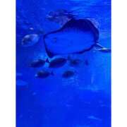 ヒメ日記 2025/03/22 20:57 投稿 そら★高リピ◎女子アナ系美女★ Bell～S級美女お姉様・人妻デリヘル～