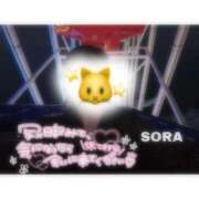 ヒメ日記 2025/04/02 21:00 投稿 そら★高リピ◎女子アナ系美女★ Bell～S級美女お姉様・人妻デリヘル～