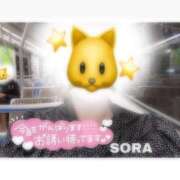 ヒメ日記 2025/04/03 19:33 投稿 そら★高リピ◎女子アナ系美女★ Bell～S級美女お姉様・人妻デリヘル～