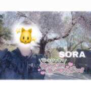 ヒメ日記 2025/04/15 20:11 投稿 そら★高リピ◎女子アナ系美女★ Bell～S級美女お姉様・人妻デリヘル～