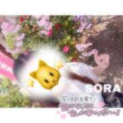 ヒメ日記 2025/04/23 21:37 投稿 そら★高リピ◎女子アナ系美女★ Bell～S級美女お姉様・人妻デリヘル～