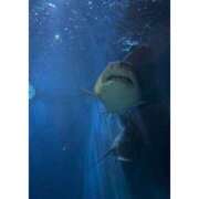 ヒメ日記 2025/04/23 21:41 投稿 そら★高リピ◎女子アナ系美女★ Bell～S級美女お姉様・人妻デリヘル～