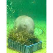 ヒメ日記 2025/04/25 20:44 投稿 そら★高リピ◎女子アナ系美女★ Bell～S級美女お姉様・人妻デリヘル～