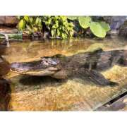 ヒメ日記 2025/04/26 20:32 投稿 そら★高リピ◎女子アナ系美女★ Bell～S級美女お姉様・人妻デリヘル～