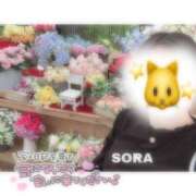 ヒメ日記 2025/05/01 21:15 投稿 そら★高リピ◎女子アナ系美女★ Bell～S級美女お姉様・人妻デリヘル～