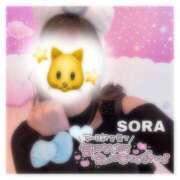 ヒメ日記 2025/05/14 04:46 投稿 そら★高リピ◎女子アナ系美女★ Bell～S級美女お姉様・人妻デリヘル～