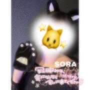 ヒメ日記 2025/05/14 05:02 投稿 そら★高リピ◎女子アナ系美女★ Bell～S級美女お姉様・人妻デリヘル～