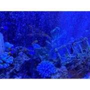 ヒメ日記 2025/05/23 05:37 投稿 そら★高リピ◎女子アナ系美女★ Bell～S級美女お姉様・人妻デリヘル～