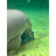 ヒメ日記 2025/06/11 04:36 投稿 そら★高リピ◎女子アナ系美女★ Bell～S級美女お姉様・人妻デリヘル～