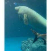 ヒメ日記 2025/06/11 21:09 投稿 そら★高リピ◎女子アナ系美女★ Bell～S級美女お姉様・人妻デリヘル～