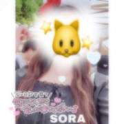 ヒメ日記 2025/06/13 20:26 投稿 そら★高リピ◎女子アナ系美女★ Bell～S級美女お姉様・人妻デリヘル～