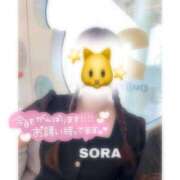 ヒメ日記 2025/06/20 20:48 投稿 そら★高リピ◎女子アナ系美女★ Bell～S級美女お姉様・人妻デリヘル～