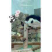 ヒメ日記 2025/06/20 20:54 投稿 そら★高リピ◎女子アナ系美女★ Bell～S級美女お姉様・人妻デリヘル～