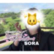 ヒメ日記 2025/06/23 20:59 投稿 そら★高リピ◎女子アナ系美女★ Bell～S級美女お姉様・人妻デリヘル～