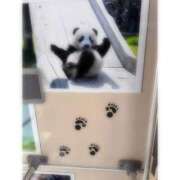 ヒメ日記 2025/07/04 05:14 投稿 そら★高リピ◎女子アナ系美女★ Bell～S級美女お姉様・人妻デリヘル～