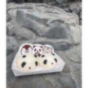 ヒメ日記 2025/07/06 04:20 投稿 そら★高リピ◎女子アナ系美女★ Bell～S級美女お姉様・人妻デリヘル～