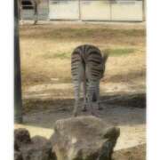 ヒメ日記 2025/07/10 05:02 投稿 そら★高リピ◎女子アナ系美女★ Bell～S級美女お姉様・人妻デリヘル～