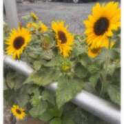 ヒメ日記 2025/07/14 22:38 投稿 そら★高リピ◎女子アナ系美女★ Bell～S級美女お姉様・人妻デリヘル～