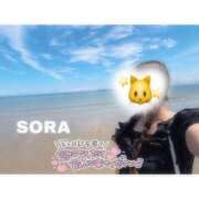 ヒメ日記 2025/08/04 05:05 投稿 そら★高リピ◎女子アナ系美女★ Bell～S級美女お姉様・人妻デリヘル～