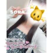 ヒメ日記 2025/08/06 20:56 投稿 そら★高リピ◎女子アナ系美女★ Bell～S級美女お姉様・人妻デリヘル～