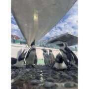 ヒメ日記 2025/08/06 21:00 投稿 そら★高リピ◎女子アナ系美女★ Bell～S級美女お姉様・人妻デリヘル～