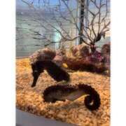 ヒメ日記 2025/08/07 08:46 投稿 そら★高リピ◎女子アナ系美女★ Bell～S級美女お姉様・人妻デリヘル～