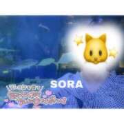 ヒメ日記 2025/08/19 20:08 投稿 そら★高リピ◎女子アナ系美女★ Bell～S級美女お姉様・人妻デリヘル～