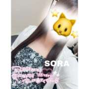 ヒメ日記 2025/08/20 08:06 投稿 そら★高リピ◎女子アナ系美女★ Bell～S級美女お姉様・人妻デリヘル～