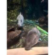 ヒメ日記 2025/08/21 20:18 投稿 そら★高リピ◎女子アナ系美女★ Bell～S級美女お姉様・人妻デリヘル～