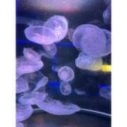 ヒメ日記 2025/08/21 22:03 投稿 そら★高リピ◎女子アナ系美女★ Bell～S級美女お姉様・人妻デリヘル～