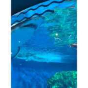 ヒメ日記 2025/08/22 19:49 投稿 そら★高リピ◎女子アナ系美女★ Bell～S級美女お姉様・人妻デリヘル～