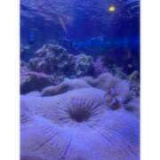 ヒメ日記 2025/08/22 21:03 投稿 そら★高リピ◎女子アナ系美女★ Bell～S級美女お姉様・人妻デリヘル～