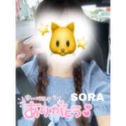 ヒメ日記 2025/08/23 08:04 投稿 そら★高リピ◎女子アナ系美女★ Bell～S級美女お姉様・人妻デリヘル～