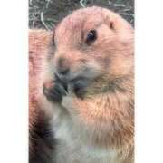 ヒメ日記 2025/09/04 19:49 投稿 そら★高リピ◎女子アナ系美女★ Bell～S級美女お姉様・人妻デリヘル～