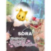 ヒメ日記 2025/09/05 08:17 投稿 そら★高リピ◎女子アナ系美女★ Bell～S級美女お姉様・人妻デリヘル～